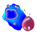 Macrophage and Eosinophil